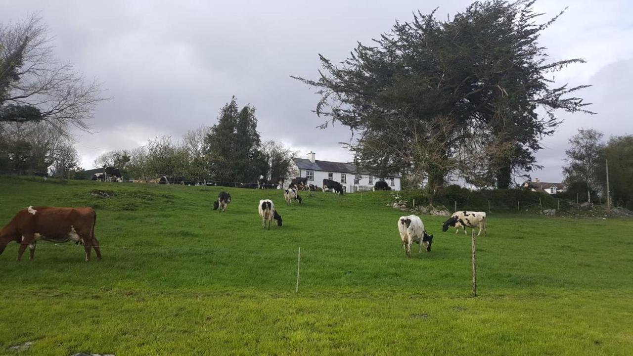Gortamullen House, Kenmare Bed & Breakfast Exterior foto